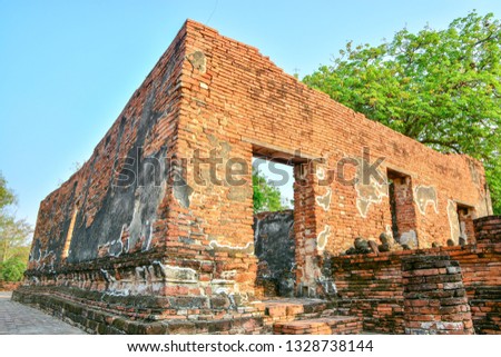 Old bricks wall live at Ayutthaya, Thailand.