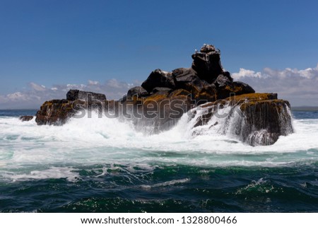 Rock in ocean close to Isabela island of Galapagos.