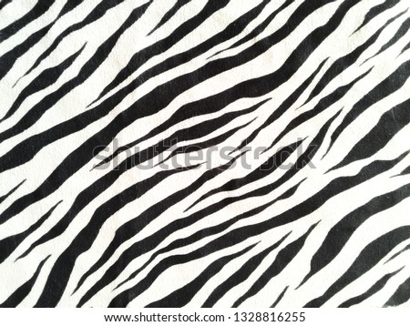 fabric with a wild animal skin pattern.zebra.