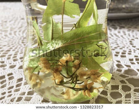 Herbal tea with linden flowers on a table