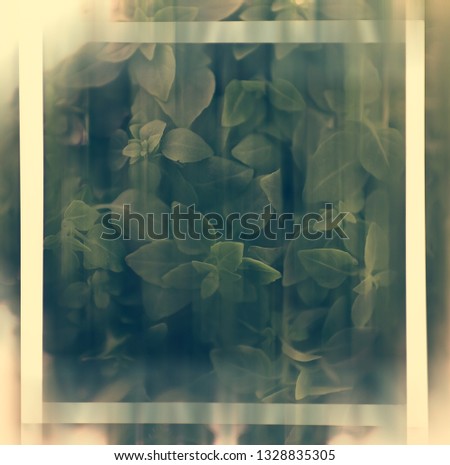 blurred background leaves / greens spring abstraction