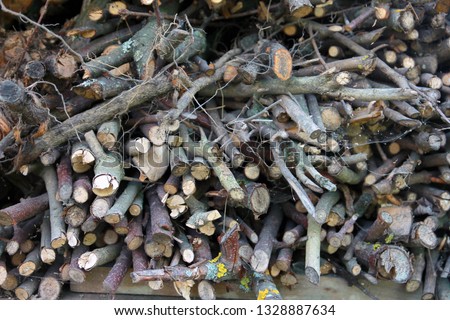 a bunch of cut branches or brushwood as firewood, a view of the branches from the end face