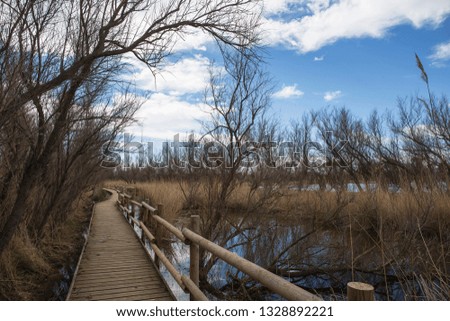 Path with wooden railing in the Natural Park of the Marshes of Ampurdan, Girona, Catalonia, Spain