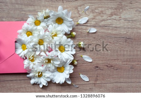 Beautiful flowers in pink envelope. Chamomile on a wooden background. Letter of love. Congratulation for mother's day, Women Day or Easter. Happy Birthday Greeting card. Top view lovely wallpaper.