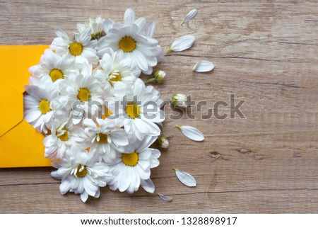 Lovely Spring flowers. Chamomile in yellow envelope on a wooden background. Letter of love. Congratulation for mother day, Women Day or Easter. Happy Birthday Greeting card. Top view lovely wallpaper.