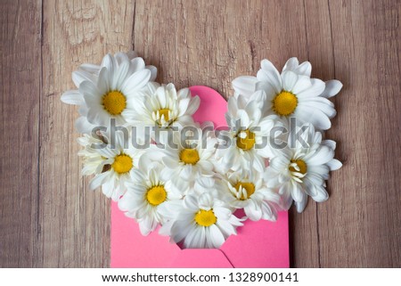 Chamomile in pink envelope on a wooden background. Beautiful Spring flowers. Letter of love. Congratulation for mother's day, Women Day or Easter. Happy Birthday Greeting card. Top view cute wallpaper
