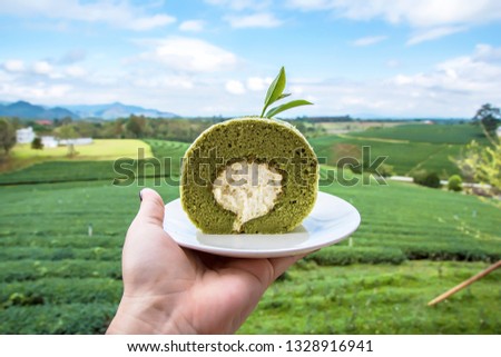 Matcha green tea roll cake on white dish in woman hand with blurred tea plantation background.