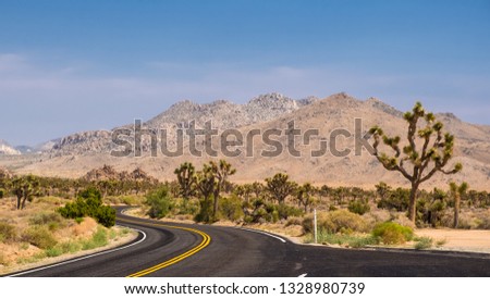 Road in a desert, in Joshua Tree National Park