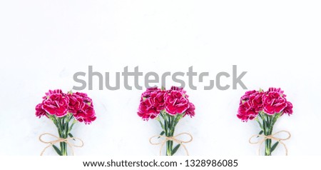 May mothers day photography - Beautiful blooming carnations bunch tied by bow isolated on a bright modern table, copy space, flat lay, top view, blank for text