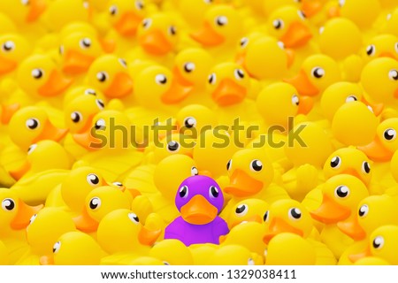 Unique purple toy duck among many yellow ones. Standing out from crowd, individuality and difference concept Royalty-Free Stock Photo #1329038411