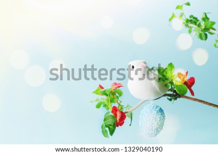 Easter composition with white bird dove and  spring flowers. Copyspace.