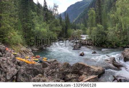Journey through the wild nature of the Altai. Coniferous forests and the valley of the  mountain river Bashkaus. Summer landscape - Clean air of Altai and the beauty of Siberia