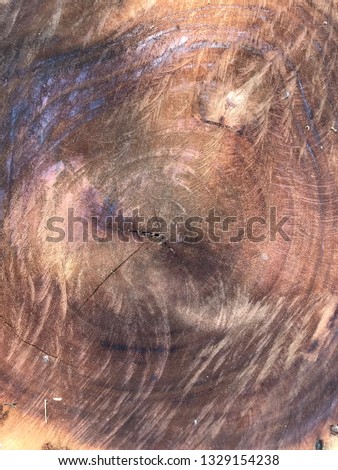 burl wood background