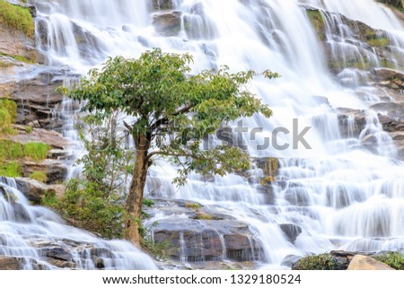 Tree on waterfall background, Mae Ya Waterfall, Doi Inthanon, Chiang Mai, Thailand