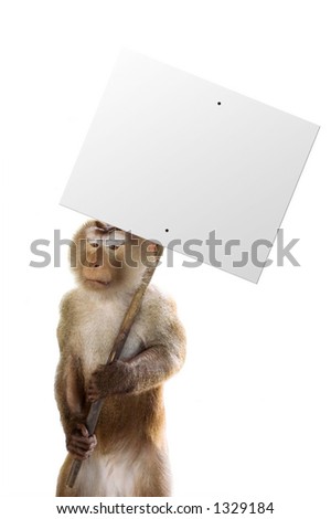 Monkey holding a sign with whatever you want!