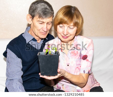 Enamored elderly couple looking at a plant pot grown by themselves