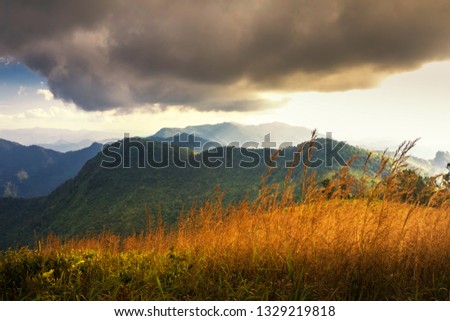 Beautiful of Mountain peak landscape at sunset , Phu Chi Fa, Chiangrai province,Northern Thailand.
