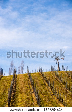 Austria - Kastenburg. Vineyards Sulztal, Leibnitz area south Styria wine street, wine country. March before season.