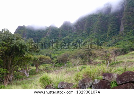 Gorgeous Hawaiian Mountains