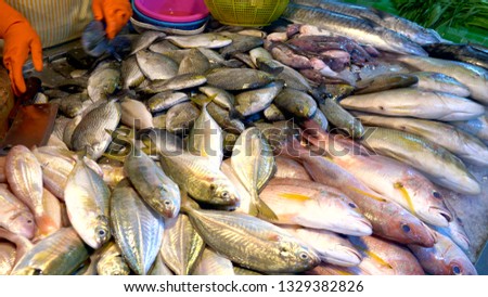 Traditional Thai sea food market, with fresh seafood