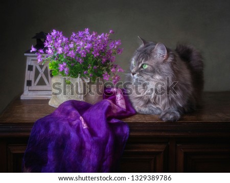 Still life with spring flower bouquet and pretty kitty