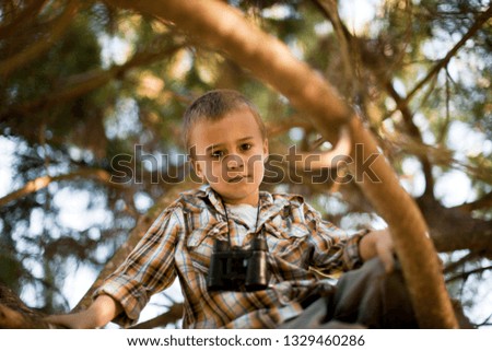 Young boy climbing a tree.