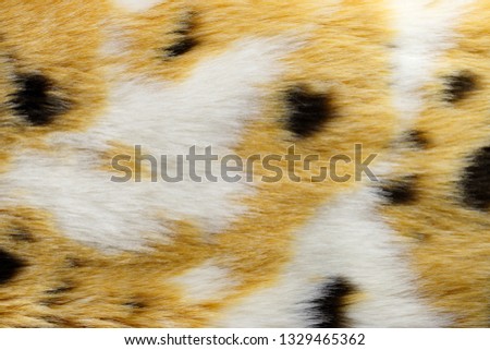 Fashion fur. Artificial color fur