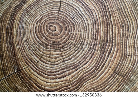 Painted brown wooden annual rings Royalty-Free Stock Photo #132950336