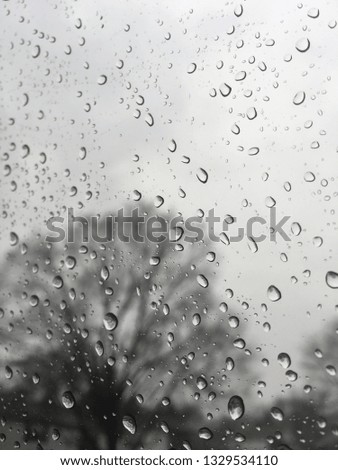Water droplets on a window on a rainy day.
