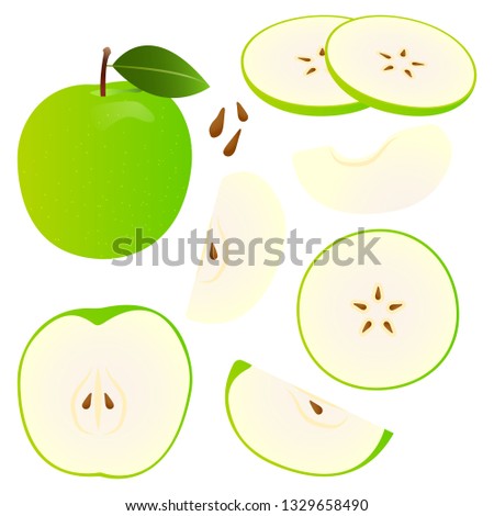 Apple green vector illustration set. Whole, sliced and halved Apple green graphics.