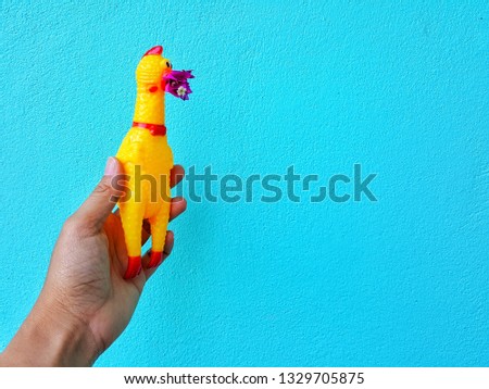 people's hand holding toy rubber shriek yellow chicken on blue background. Shrilling Chicken squeaky toy.