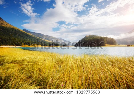 Awesome alpine lake Champfer in beautiful summer day. Location place Silvaplana village, Swiss alps, district of Maloja, Europe. Scenic image of famous european resort. Discover the beauty of earth.