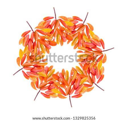 Autumn frame composition made of falling autumn leaves on white background with space for your ideas texts. top view.