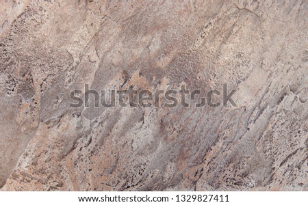 Close up of abstract brown stone texture with high resolution. For background, textures, product designs, albums, cards and invitations, catalogs. For package and decor.