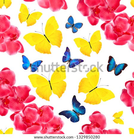 seamless pattern of colored butterflies isolated on white background
