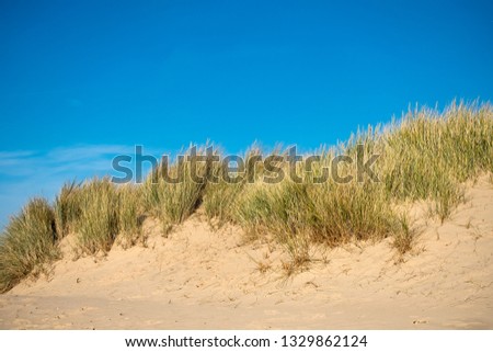 Marram grass sand dune clear blue sky image
