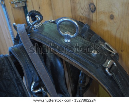 Pictures of a Horse's harness