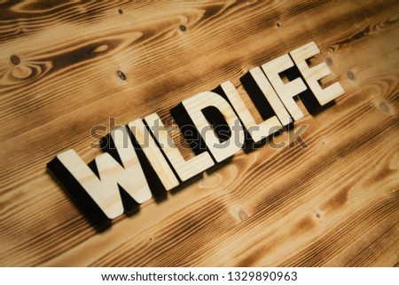 WILDLIFE word made of wooden letters on wooden board.
