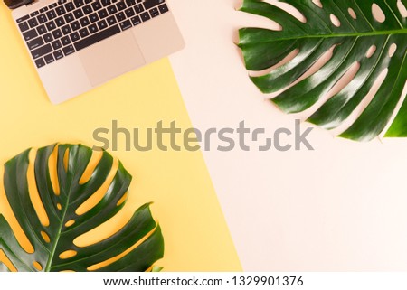 Flat lay and top view of woman desk with laptop, decorated with palm leaf. Feminine work space, freelancer desk at summer time. Flatlay