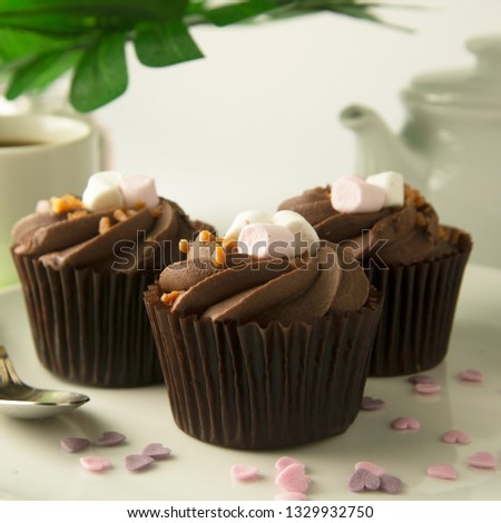 Chocolate cupcake dessert. Brownie cake with cream. Sweet dessert. Isolated. Square image.