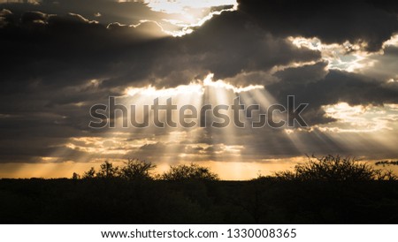 Sunbeams Namibia Africa