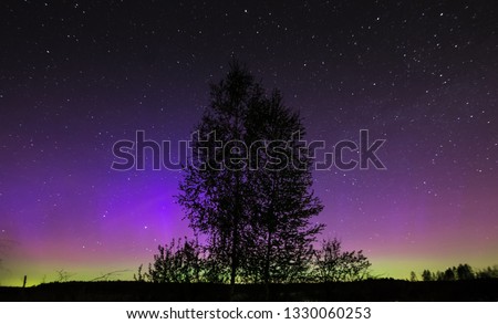 Aurora borealis and silhouette of wood
