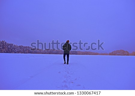 Frozen Swedish lake