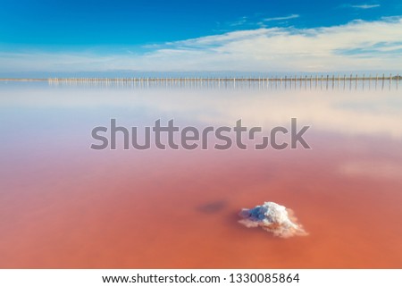 Real pink color salt lake with salt stone and deep blue sky, minimalist landscape, Ukraine, Europe Royalty-Free Stock Photo #1330085864