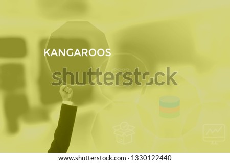 KANGAROOS - technology and business concept