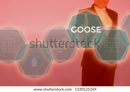 GOOSE - technology and business concept