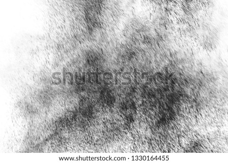 Black particles explosion isolated on white background. Abstract dust overlay texture.

