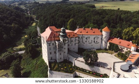 Beautiful castle and forest shot from above. Picture with drone castle and woods.