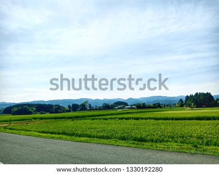 Open green field in Sado Island, Japan