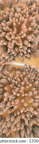 Panoramic aerial view of Italian Alps with mountains and woods.